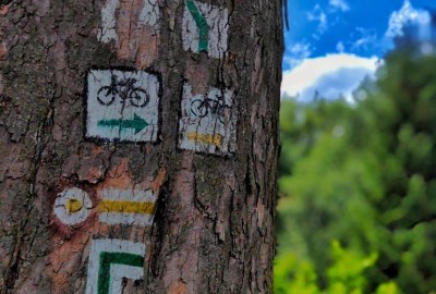 368391932_972734963992186_5468217895404883911_n