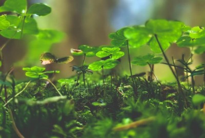 368397692_666867491741368_8620601434865102958_n