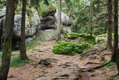 368405845_1044164273618243_7926371844235701577_n