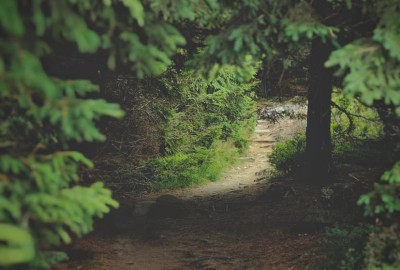 368509949_1210902606269431_1682874024006530443_n