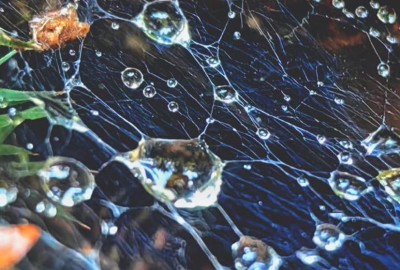 368563667_817416283294090_8156628198841710652_n