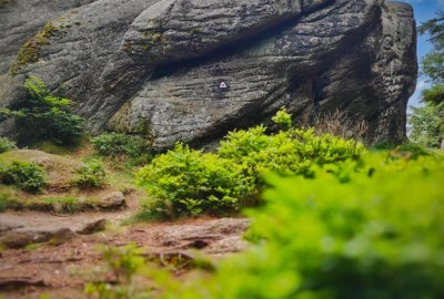 368843670_1000905544564396_5774645269265487576_n