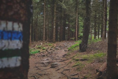 369019013_683561289854661_1611965954436710342_n