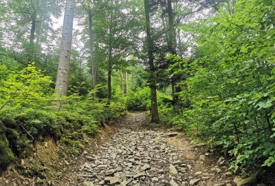 IMG_20210703_063915_Copy