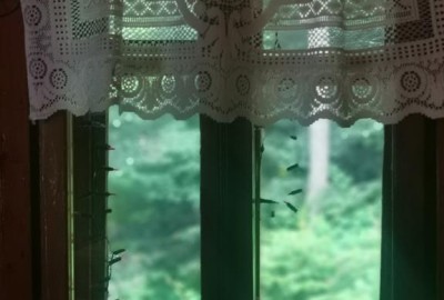 IMG_20210703_085559_Copy