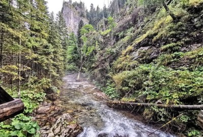 346116704_996583931347093_7079477917787124331_n