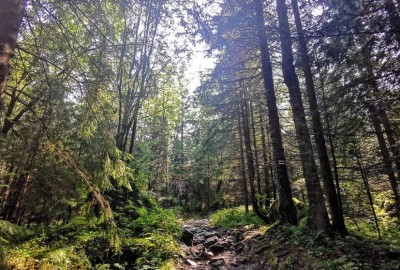 346123133_667775278488396_9001094197967324355_n