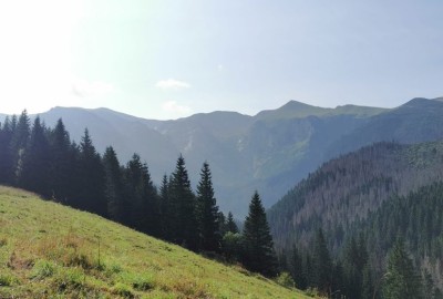 346141872_899431601159529_1736638135275772539_n