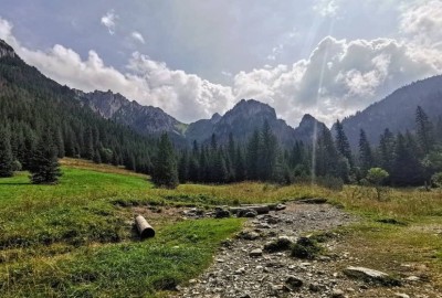 346145019_6191571500890608_3810740584994080334_n