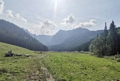 346151963_784992886563110_7788694746159062966_n