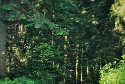 400041939_1566128797481955_5418978452172489772_n