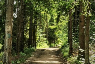 400530466_826291022518096_8101490243793297394_n