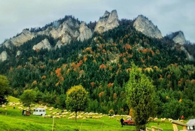 312832018_853607545794085_4268918582944087506_n