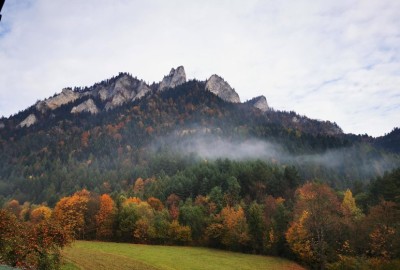 313049062_803067327657844_1628506822764243957_n