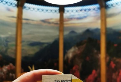 313794674_1817299228650333_2732464246197113725_n