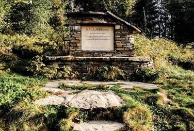 IMG_20200919_080240_86919219106528_Copy