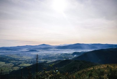 IMG_20200919_090307_86919652202361_Copy