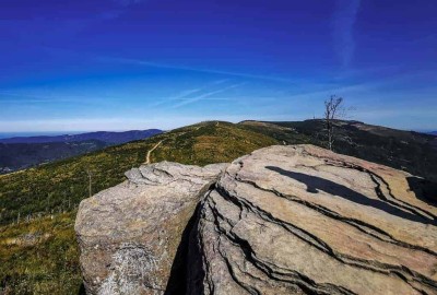 IMG_20200919_114012_86920210185174_Copy