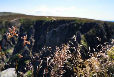 293309986_839370087047310_6476194080447446242_n