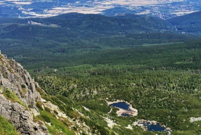 297816367_389755629960673_8713986688107891941_n