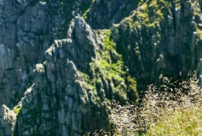 298250093_1268993687174831_4605669431834856347_n