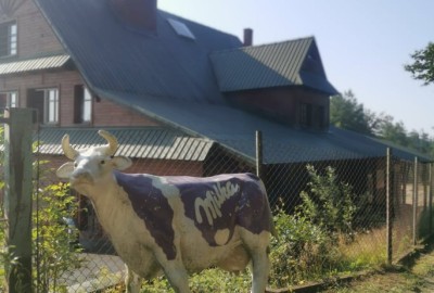 248072276_643587626807856_6007334104593242767_n