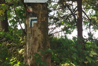 248078657_657717148526937_7055919871860978559_n