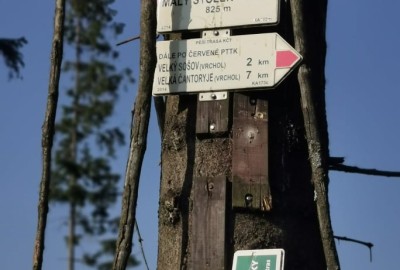 248256581_929504891303237_2794321611770913452_n