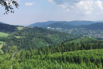 248354694_300169001946853_2923241530989208160_n