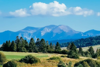 264339180_1314797375614097_8754513514241705082_n_1