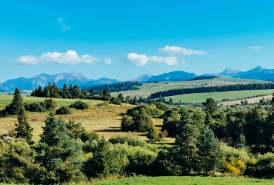 264467568_435962181237139_8096084880456340097_n