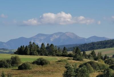 264913452_1345654525856872_3735503906610081817_n