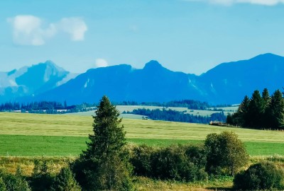 265904681_4373025249487393_4008364552148101207_n