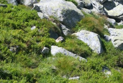 300988941_1133477167262263_5401330507883472328_n