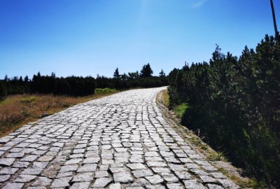 292182753_353689630299297_6033764408960637163_n