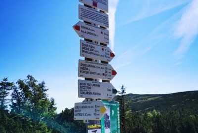 294513663_1220346652051359_2528867919637573158_n