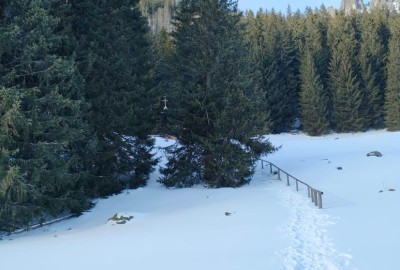 422033067_3665580903717315_8960425001058070054_n