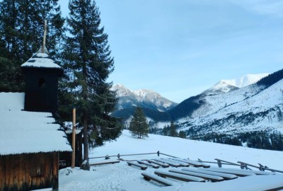 422474672_850842050133209_7039408914313118068_n