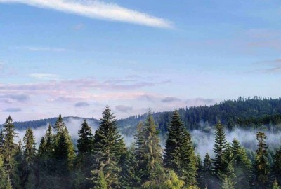 20934169_1806804926004156_7728523972627082393_o