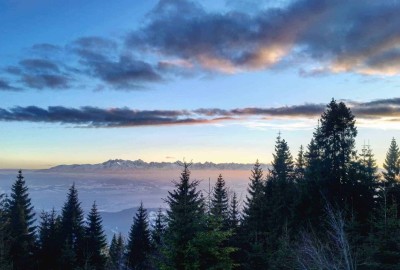 26198247_1444413298989726_10072810463643529_o