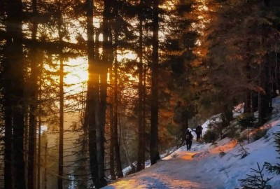 29356634_2086725864678726_8839996152137908224_o