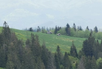 244267297_599983621183538_4947171176158827866_n