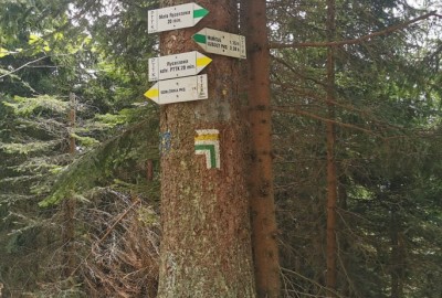 244401527_572935577352047_5210207317062661039_n