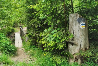 244411277_828582771169301_8414267113286244000_n