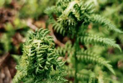 244420931_560702338542497_1958717791996953325_n