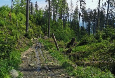 244422496_1561112577614317_466730742160368512_n