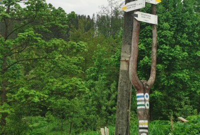 244438724_1246293302511490_315880295624251400_n