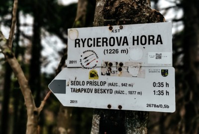 244481843_589344465742272_7214128763027809705_n