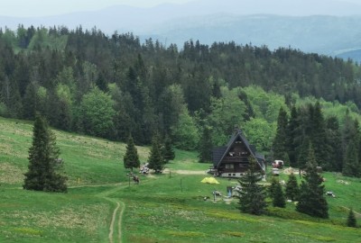 244509393_318589710030630_3372056011859607548_n