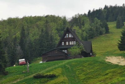 244546256_409054170832038_2700136201587673462_n